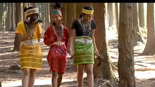 Raka niam skang Atchu Ambi Chasongde Cavar Songs,, Dambean Ranysa Why Tv,,,,,,,,,,