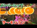 メンバーご招待限定サーモンラン#22※概要欄必読【スプラトゥーン2/salmon run】