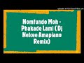 Nomfundo Moh - Phakade Lami ft. Sha Sha & Ami Faku ( Dj Nelcee Amapiano remix)