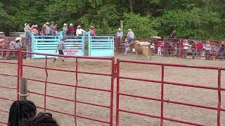 Pembroke Rodeo