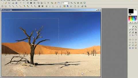 PhotoFiltre - crop and resize a photo