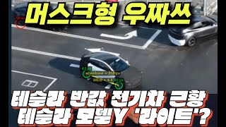 [속보] 충격!테슬라 반값 전기차 근황 feat. 테슬라 모델Y &#39;라이트&#39;?