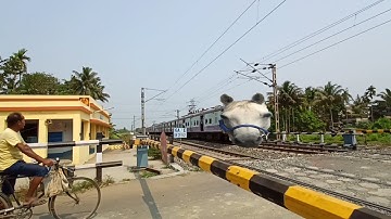 Super Speed Horse Emu Train : Dangerous & Furious Morning Through Out Railgate