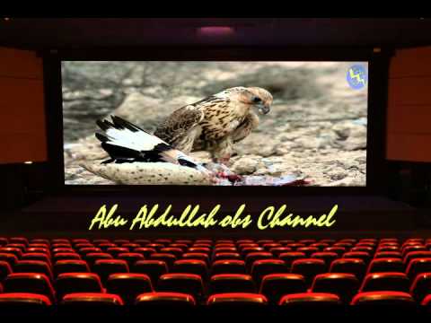 الفية الصيد للمنشد جاسم المال اخراج جديد 