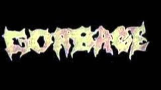 Gorbage - Scrotal Inflammation
