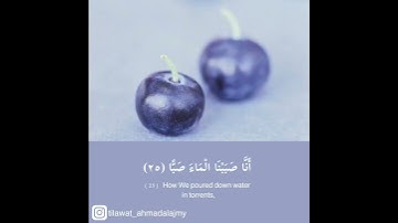 آيات من سورة عبس .  فلينظر الانسان إلى طعامه