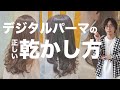 【教科書】デジタルパーマの乾かし方を超パーマ美容師が徹底解説!