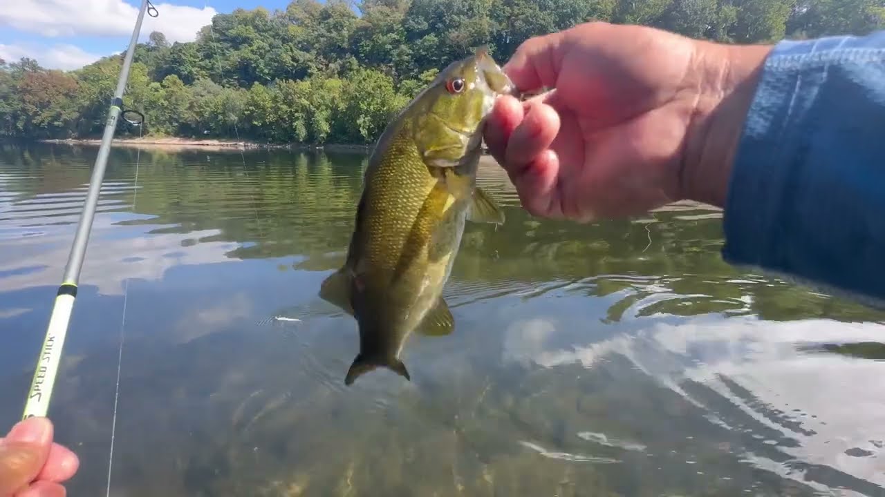 Delaware River Fishing For  SMALLMOUTH BASS With Jerk Bait – 9 / 22 / 2024