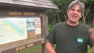 CCIS | Field Investigation #108 | Haddam Meadows State Park | CT (#SeaMonsters)
