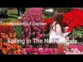 Spring in The Netherlands.Keukenhof Garden, The most Beautiful Garden in the World