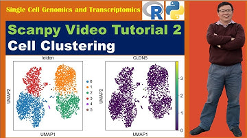 Scanpy Video Tutorials--Video 2: Cell Clustering