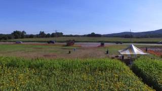 Andersen Farms Sunflower Maze in Sparta, NJ