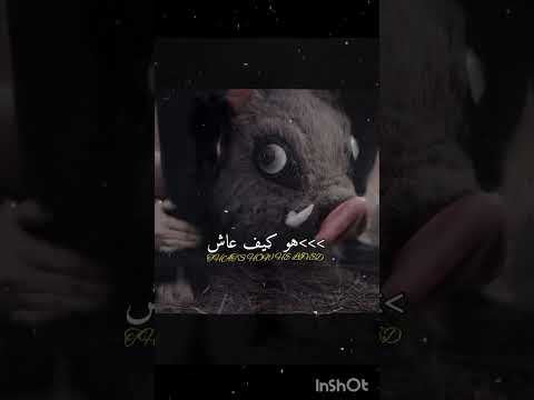 الي يعرفه اول له تثبيت  اكسبلور شلتنا  اهميه  