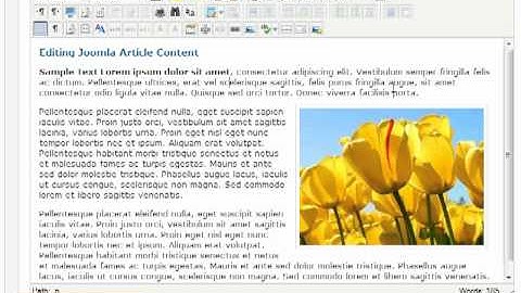 Joomla CMS - Editing Page Articles