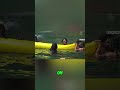 Epic Horse Jump into the Water?! You Won't Believe! #shorts