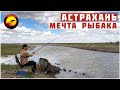 ОТБОРНАЯ ВОБЛА НА ПОПЛАВОК / АСТРАХАНЬ! РЫБАЛКА МЕЧТА