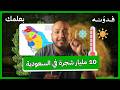 لاحظت ان الغبار اختفى وش تعرف عن السعودية الخضراء