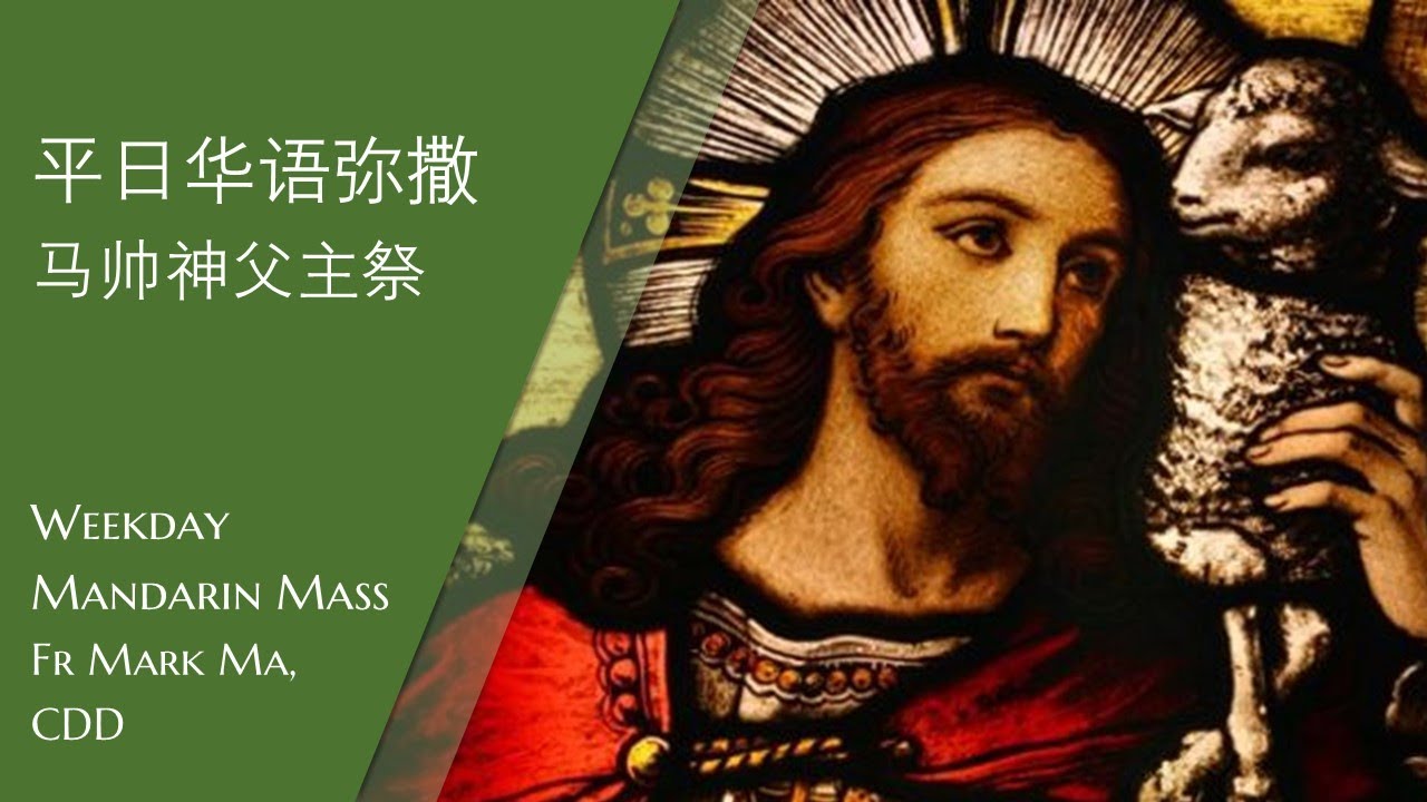 2023.2.11常年期平日弥撒主徒会.马帅神父主祭 Mandarin Mass celebrated by Fr Mark, CDD