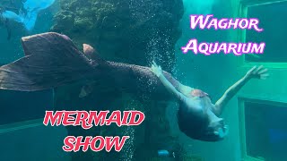 MERMAID SHOW AT WAGHOR AQUARIUM | MJIEs TV