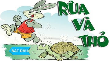 TRÒ CHƠI RÙA VÀ THỎ Trong Powerpoint || Vitamin SEA