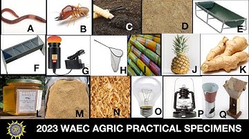 2023 WAEC AGRIC SPECIMENS