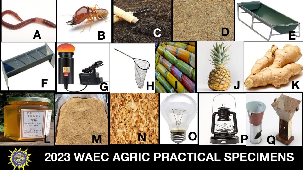 agric waec essay 2023