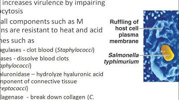 Dr. Parker Microbiology chapter 15