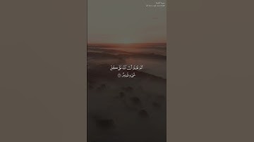 ﴿ألم تعلم أن الله على كل شيء قدير﴾ تلاوة من #سورة_البقرة #محمد_ايوب #quran #فيديو_قرآن