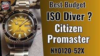 Best Budget ISO Rated Diver? Promaster NY012052X