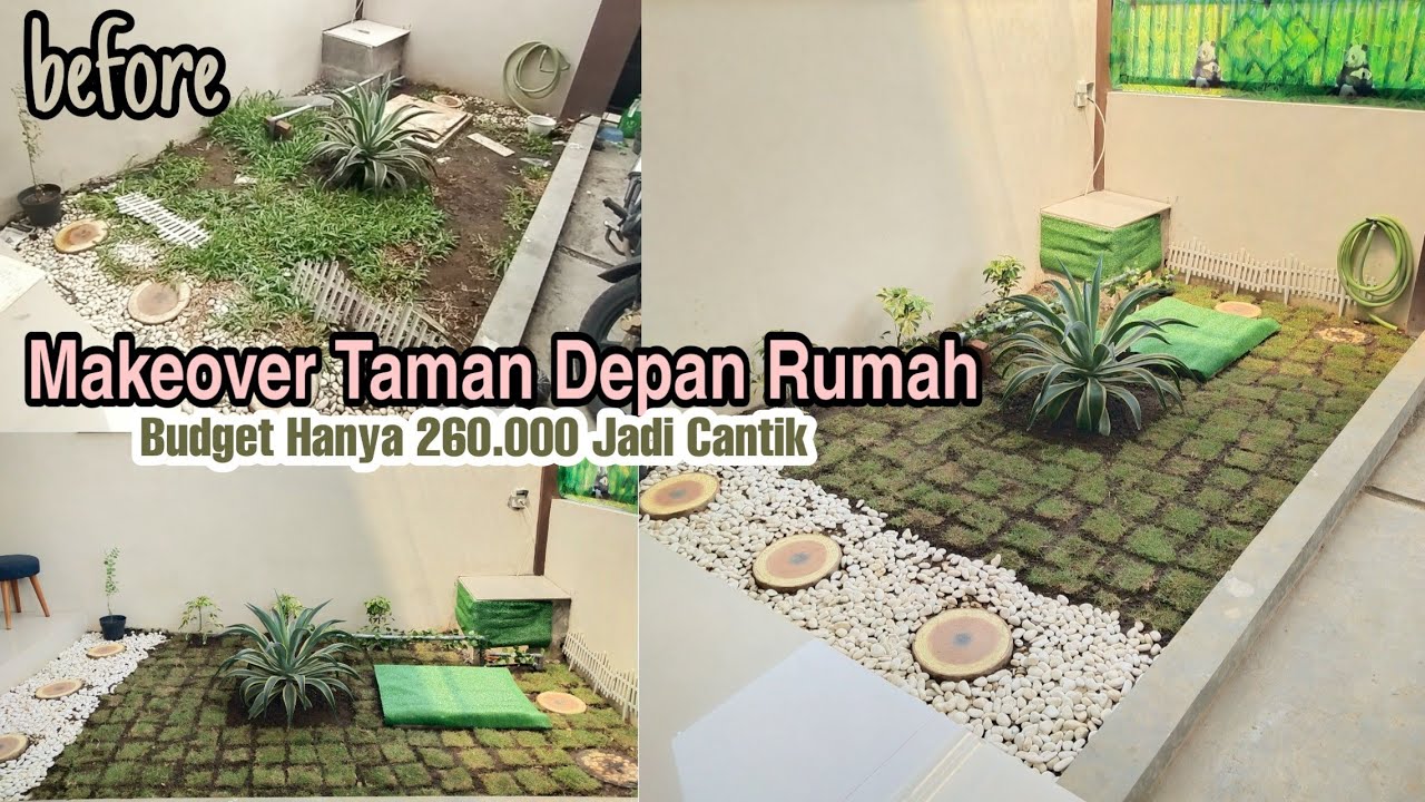 Make Over Taman  Minimalis  Low Budget Cara  Menanam Rumput Jepang YouTube 