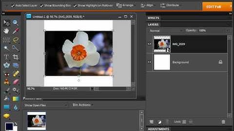 Photoshop Elements 9.0 Tutorial The Free Transform Command Adobe Training Lesson 13.4