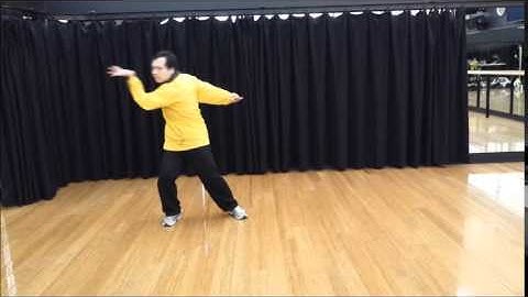 Fu Style Bagua Zhang - Yin Bagua Zhang 傅振嵩系八卦掌- 陰八卦拳