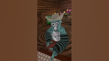 Day 3 of Joining My Fan Code Until it