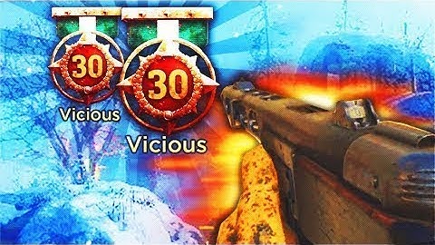 Copy of THIS GUN DESTROYS! EPIC PPSH (DUCK SOUP) BEST CLASS SETUP WW2