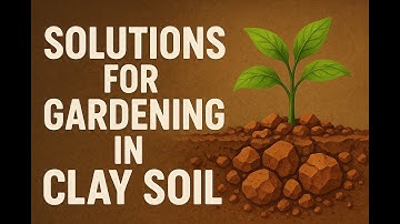 Easy solutions for gardening in clay soils