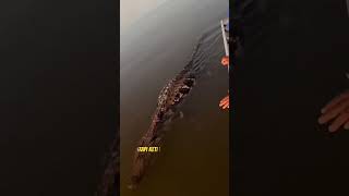 Ternyata Kita di Prank Buaya 😱🤣 #prank #buaya #nelayan #videolucu #shorts #funny #comedy