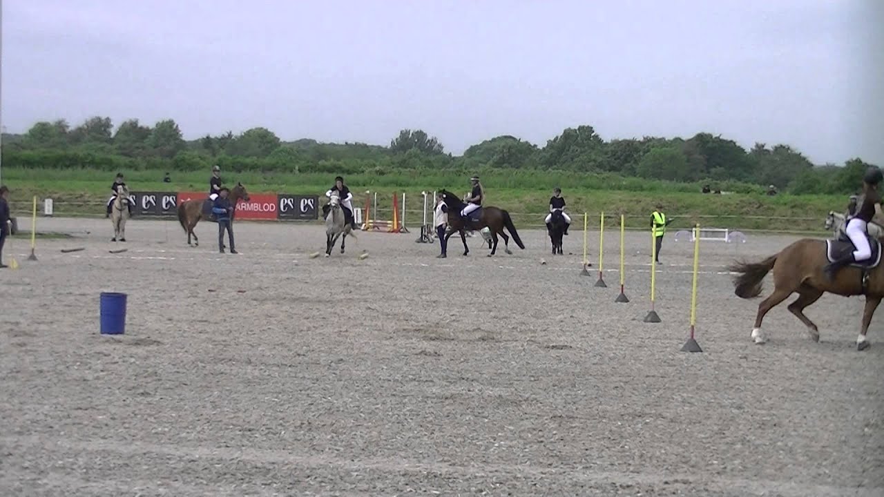 Landsfinaler 2015 - Ponygames afd. B - Ærteposeræs