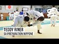 Judo  en immersion au japon avec teddy riner