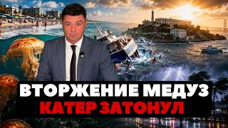 Ядовитые медузы окружили США! Трагедия у Алькатраса