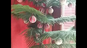 🎄Merry Christmas Darling 🌲(Remix)-Carpenters💚 Cover Nora Campana 😘😇 🎄Merry Christmas Darling 🌲(Remix)-Carpenters💚 Cover Nora Campana 😘😇