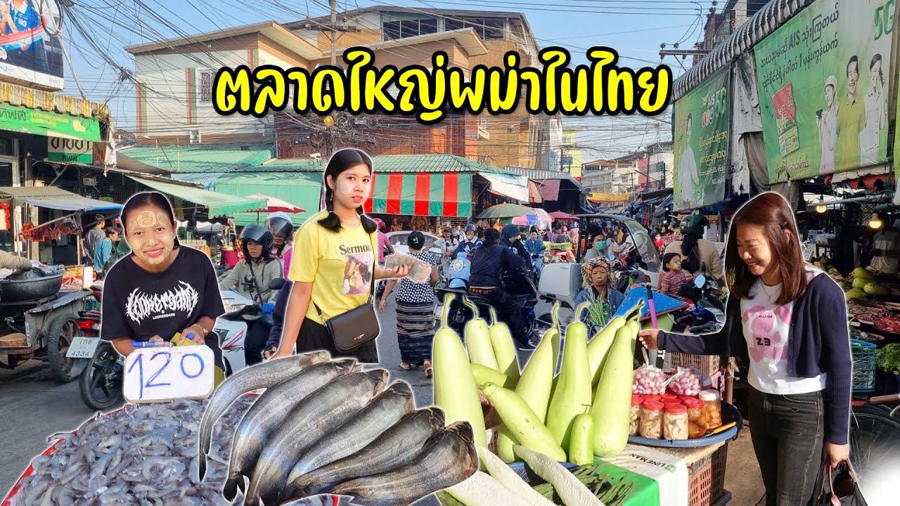ตลาดใหญ่พาเจริญแม่สอดชาวเมียนมาร์รวมปลาใหญ่ของท้องถิ่นกินโรตีโอ่งเจ้าดัง #ติดตากแล้ว2