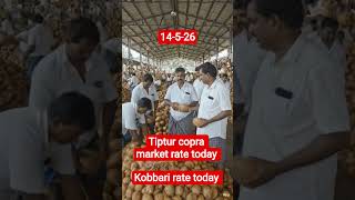 Tiptur copra market rate today, kobbari market rate today #Tiptur