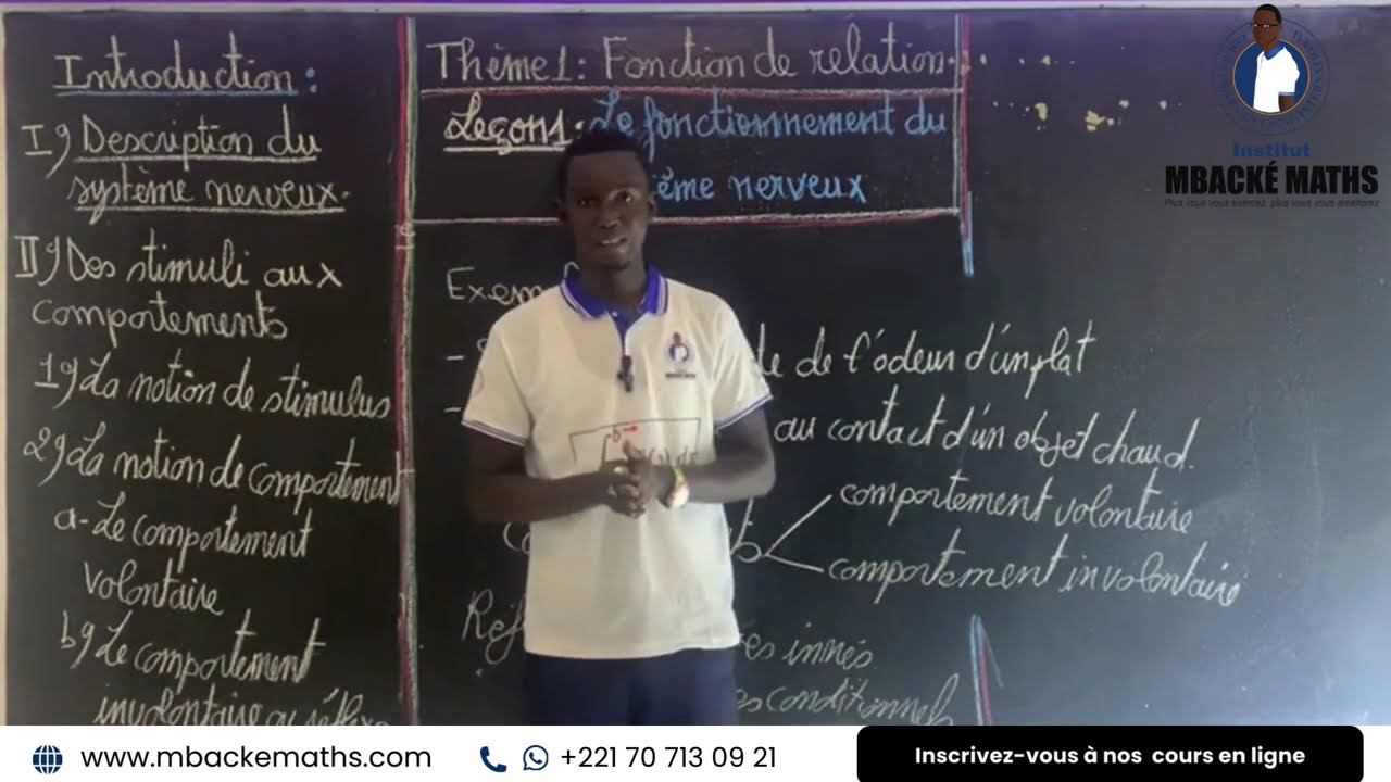 COURS 3 - SVT - 3EME - ORGANISATION DU SYSTEME NERVEUX