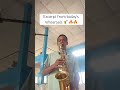 #saxophone #saxophonemusic #sax #saxophonists