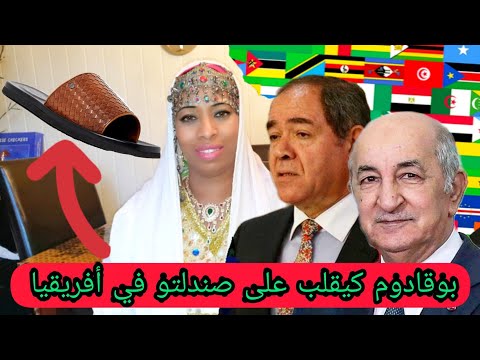عاجل الجزائر وصندلستان صبري بوقادوس كيقلب على صندلتو في أفريقيا كيجري بحل الحمق