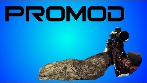 Modern Warfare 3: ProMod Infection