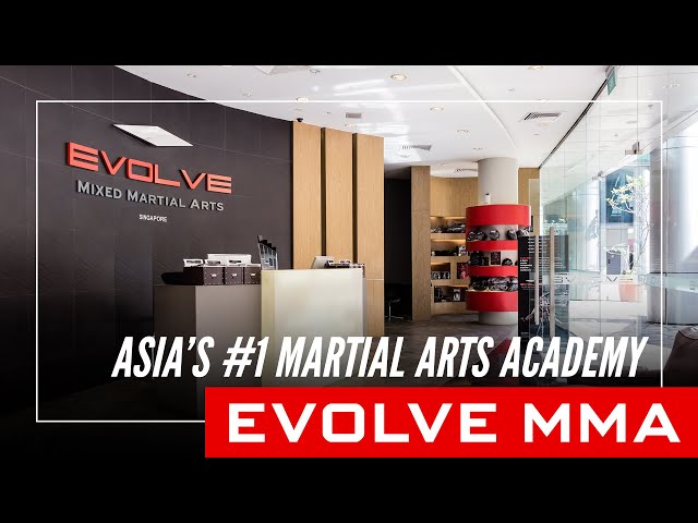 An Introduction to Evolve MMA: Asia's Top Martial Arts Organization class=