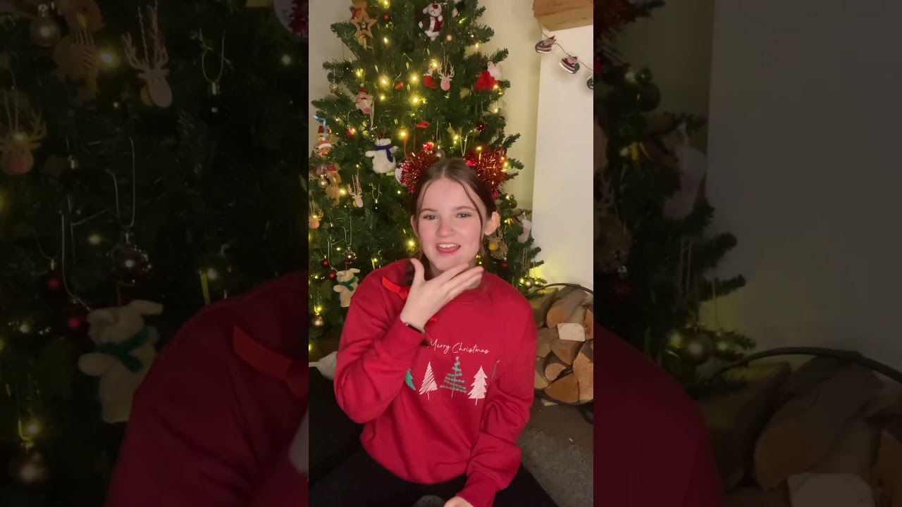 Santa-sign of the day-BSL/SSE