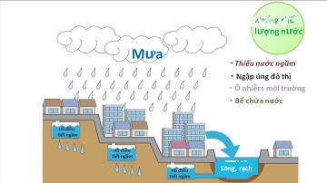 VTC14 | Hồ điều tiết chống ngập thông minh  hoạt động như thế nào?