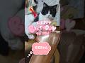 Happybirthday×2